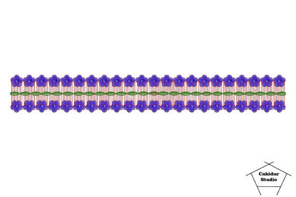 Stack Flowers Border