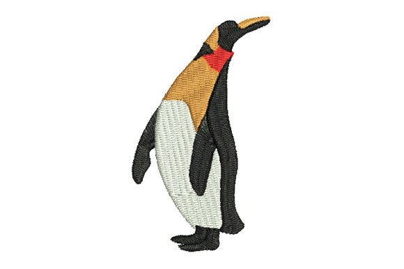 The Emperor Penguin Looks Up